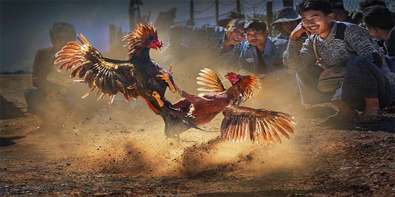 58vin xổ số bữa nay