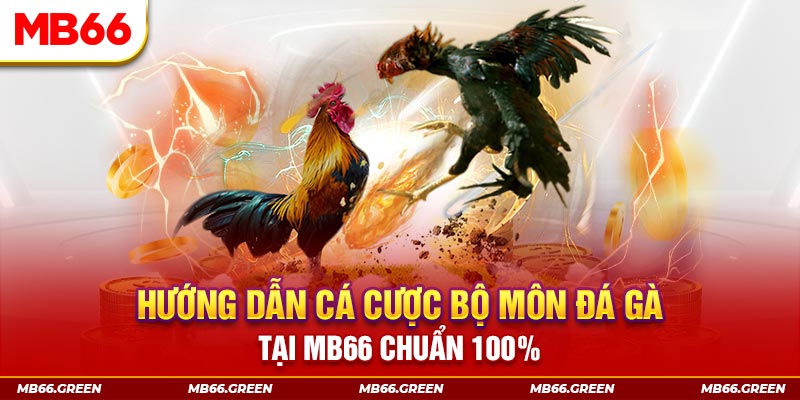 58vin slot là gi