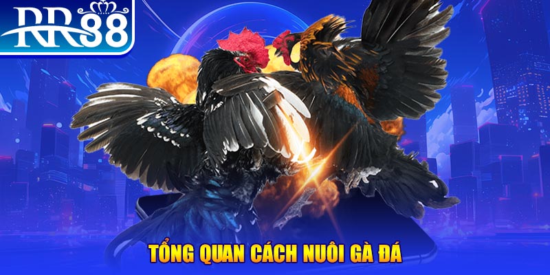 58vin game nổ hũ rút tiền mặt là gì