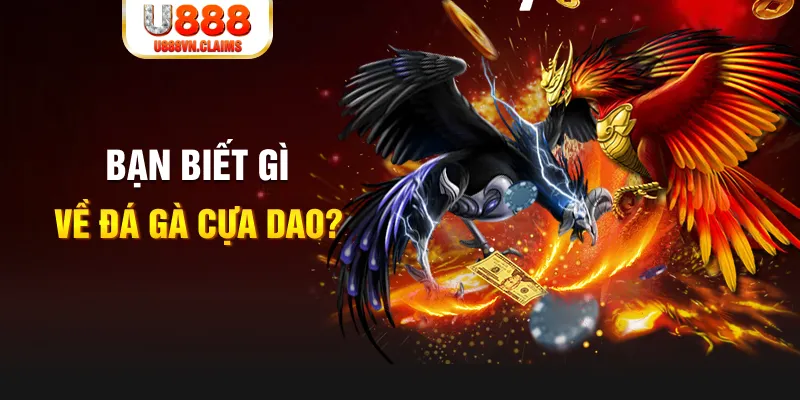 58vin SW Xổ Số