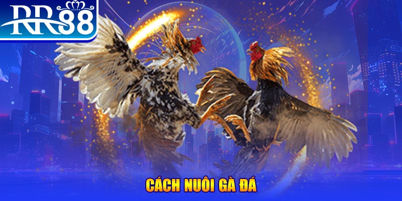 58vin đăng nhập phỏm đổi thưởng