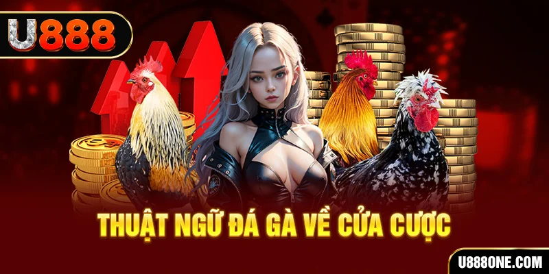 58vin hơn cả bạn bè