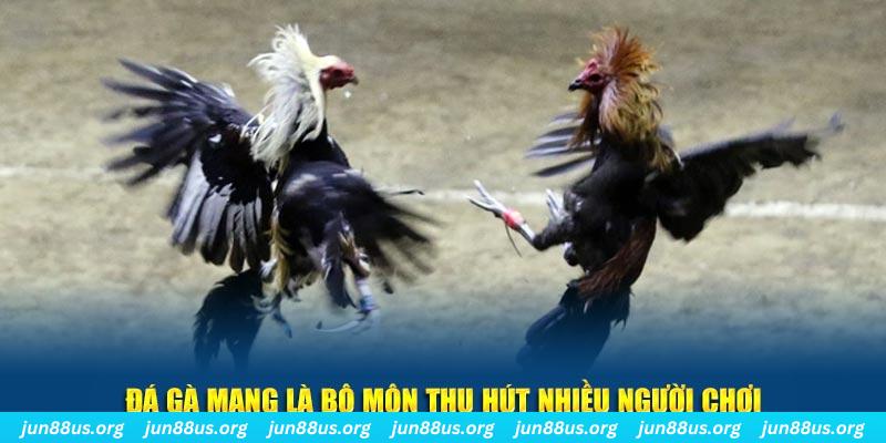 58vin nổ hủ nghĩa là gì