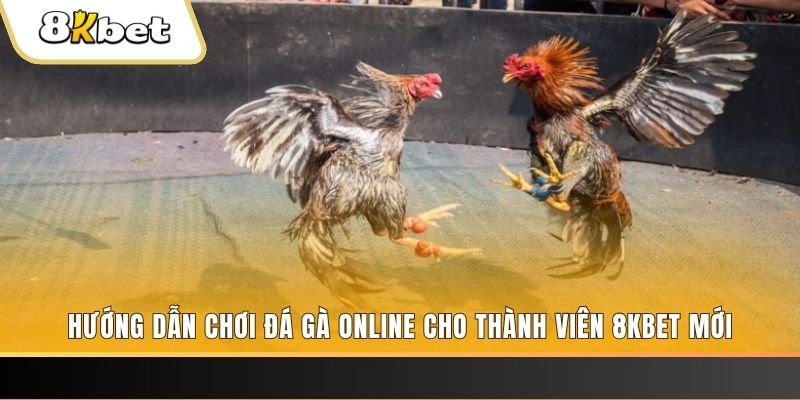 58vin JILI Game Bài 3d