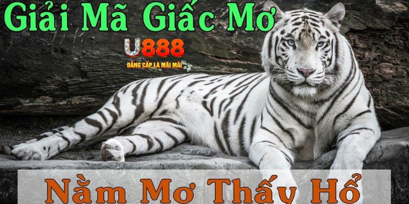 58vin xổ số miền bắc xổ số miền bắc