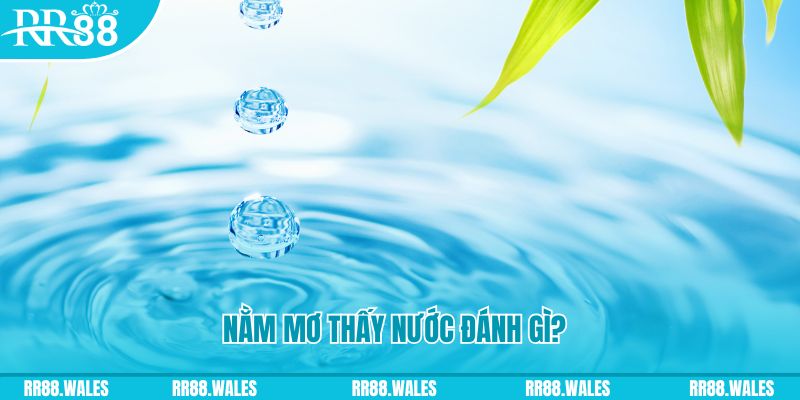 58vin TCG Xổ Số