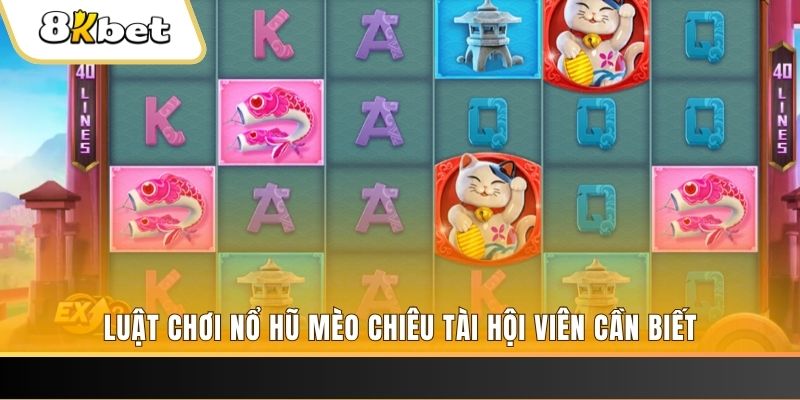 58vin máy bay nổ hủ