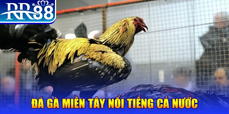 58vin xổ số đại phát