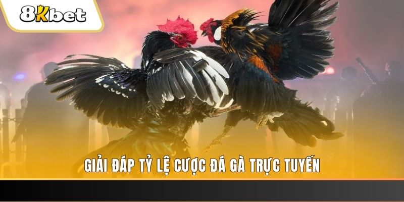 58vin ga choi cau thanh