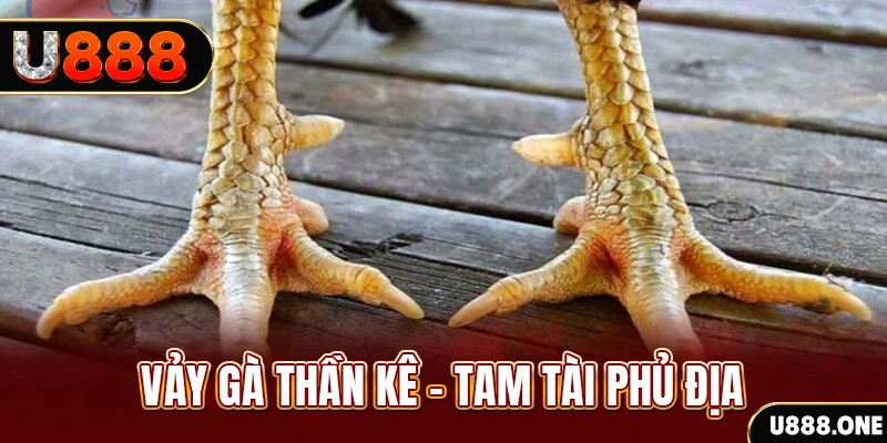 58vin xổ số miền trung thứ hai hàng tuần