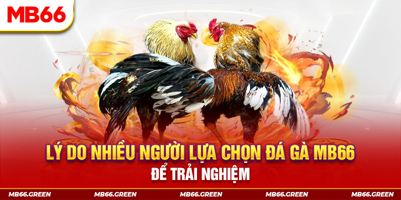 58vin đăng nhập liêng trực tiếp