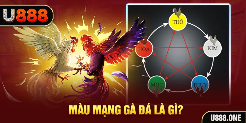 58vin xổ số miền trung thứ tư hàng tuần