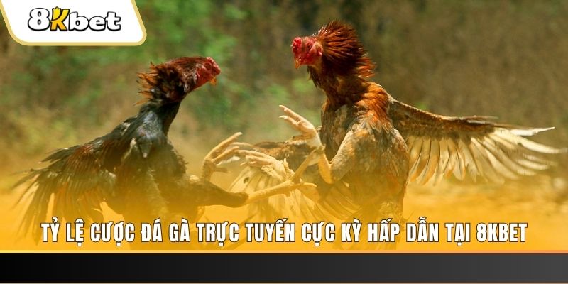 58vin đăng nhập nổ hũ trực tuyến