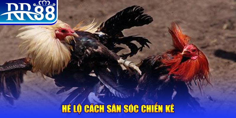58vin xổ số miền trung thứ tư