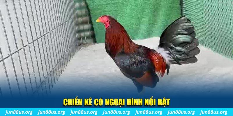 58vin game bắn cá