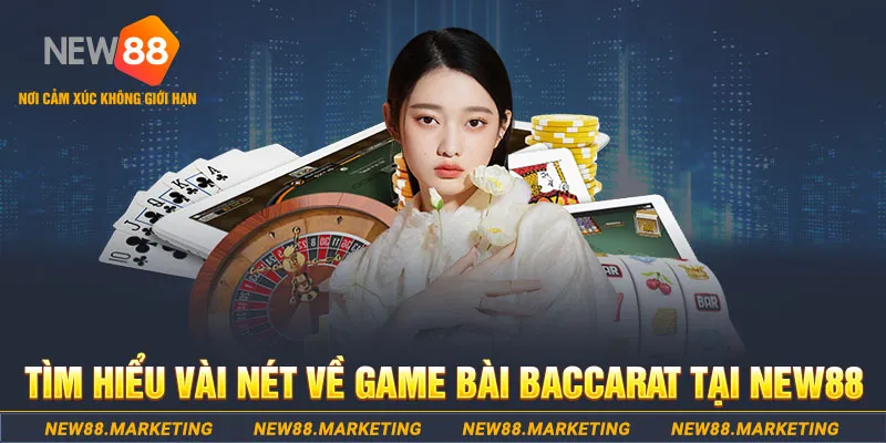 58vin gà chọi c1 ô taxi