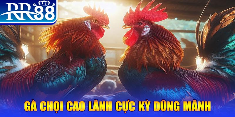 58vin HB Điện Tử